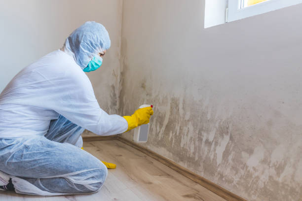 Mold inspector in Stirling performing thermal imaging